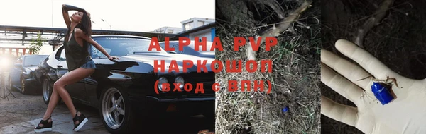 гашик Дмитровск