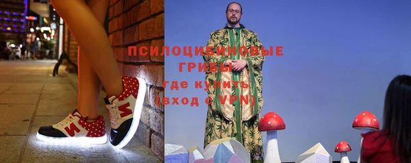 прущий лед Гусев