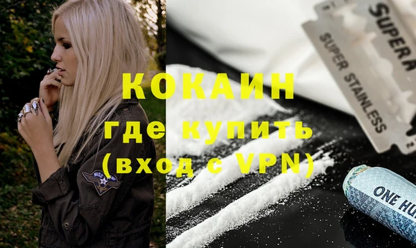 гашик Дмитровск