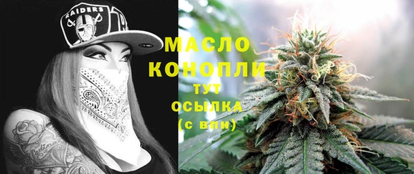 гашик Дмитровск