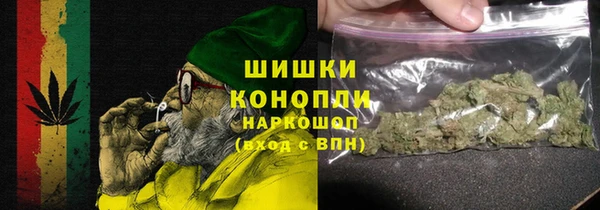 гашик Дмитровск