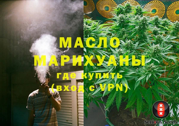 гашик Дмитровск
