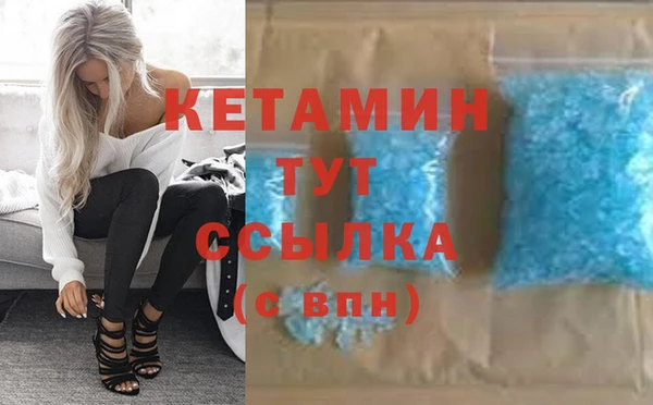 гашик Дмитровск