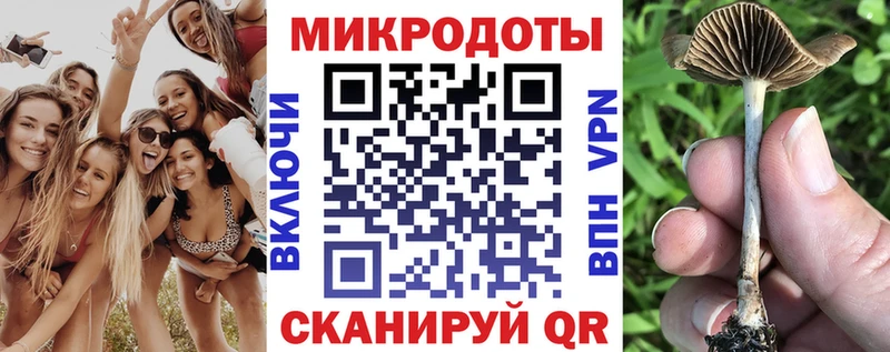 Галлюциногенные грибы прущие грибы  Губкинский 